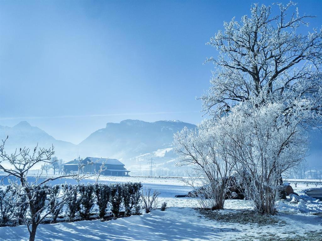 Gaestehaus Hauser Hainzenberg Exteriör bild
