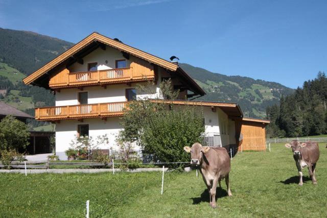 Gaestehaus Hauser Hainzenberg Exteriör bild